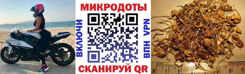 Галлюциногенные грибы прущие грибы  блэк спрут онион  Ворсма 